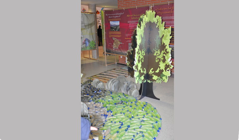 Semana Ciencias en Los Tilos